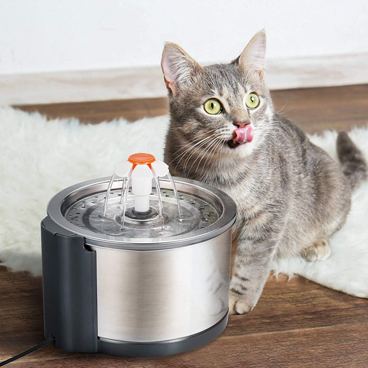 Cat h2o cheap cat fountain